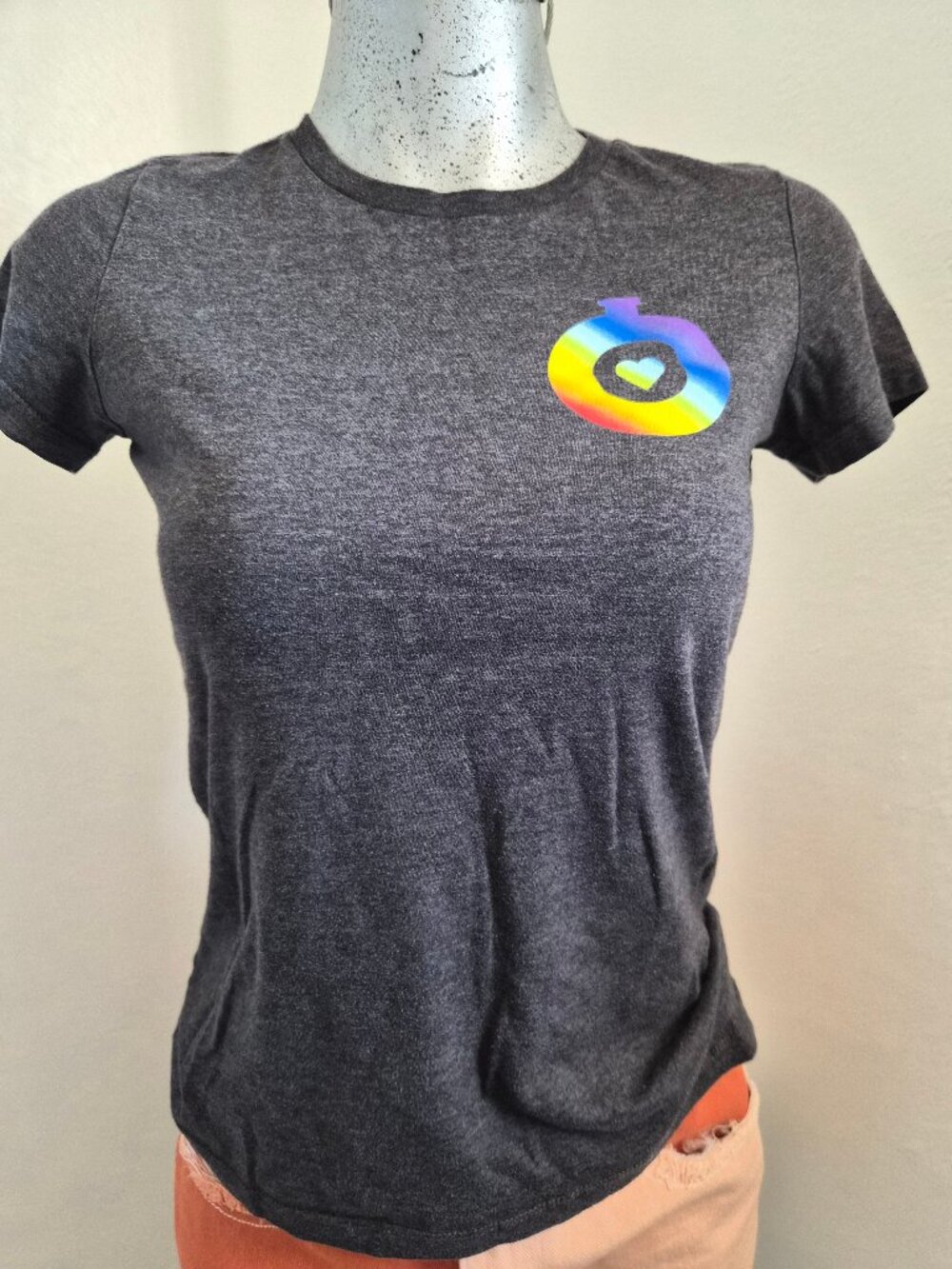 Bella + Canvas Fastly Pride Graphic T-Shirt, Size Medium